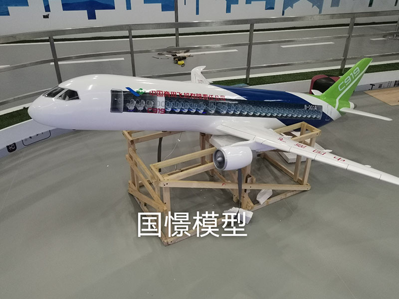 都江堰市飞机模型